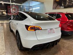 تێسلا مۆدێلی Y